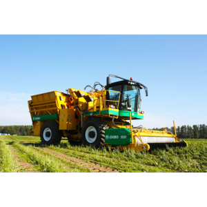 OXBO 2475 wide belt