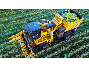 feeding belt for sweet corn combine