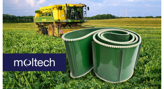 Early spring means early pea harvest.