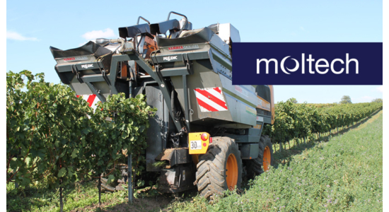 From Vineyard to Bin – Harvester Belts for Quality Wine