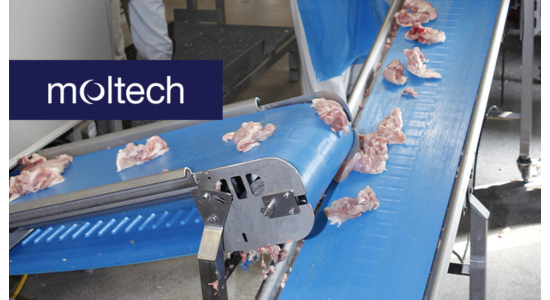 Engineered for Food Safety – Conveyor Belts You Can Trust