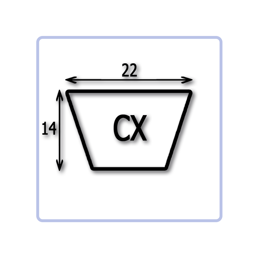 C22 CX classic v-belt