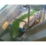 Picture 1/3 -conveyor in canning processing line
