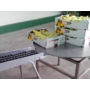 Picture 6/6 -Conveyors for vegetable packaging